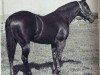 Deckhengst Burnt Spur (Quarter Horse, 1960, von Double Bid)