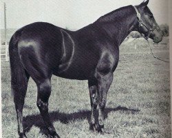 Deckhengst Burnt Spur (Quarter Horse, 1960, von Double Bid)