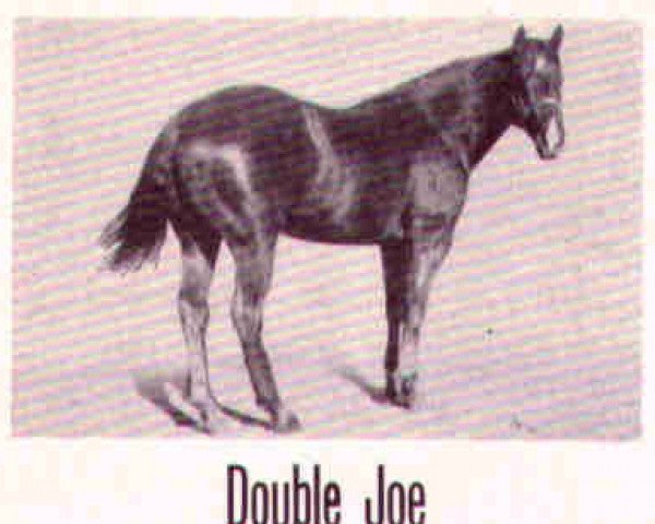 Deckhengst Double Joe (Quarter Horse, 1944, von King)