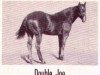 Deckhengst Double Joe (Quarter Horse, 1944, von King)