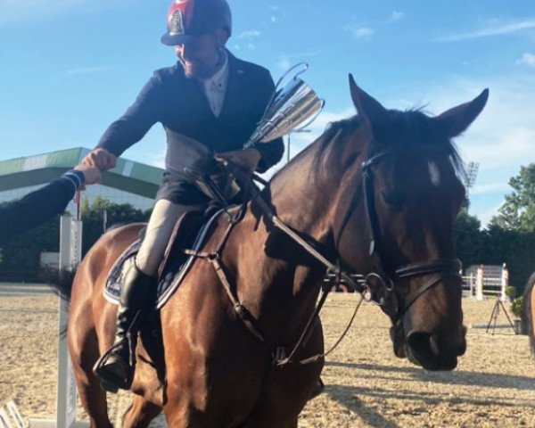 jumper High Bridge (KWPN (Royal Dutch Sporthorse), 2012, from Spartacus TN)