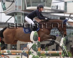 broodmare Sheyenne 27 (Oldenburg show jumper, 2007, from Sandro Boy)