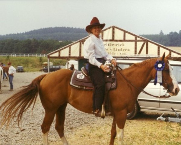 Zuchtstute Carrousels Brand (Paint Horse, 1981, von Sonny's Brand)