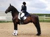 dressage horse Wenus Livius (Friese, 2007, from Olof 315 P)