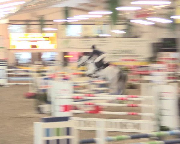 Hallenturnier Vreden 2017