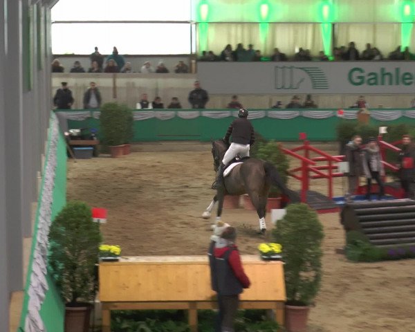 Reitturnier Gahlen 2017