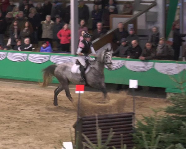 Reitturnier Gahlen 2017