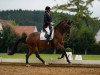 dressage horse Florian 580 (Westphalian, 2016, from First Final)