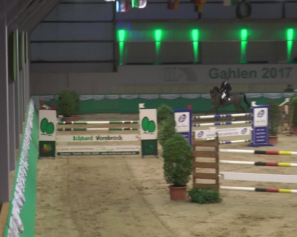 Reitturnier Gahlen 2017
