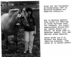 broodmare Sissi (Fjord Horse, 1972, from Stender)