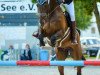 jumper Carlo S 5 (German Sport Horse, 2007, from Celentano)