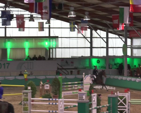 Reitturnier Gahlen 2017