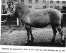 broodmare Gulla Ha 137 (Fjord Horse, 1949, from Arve FJ 185)