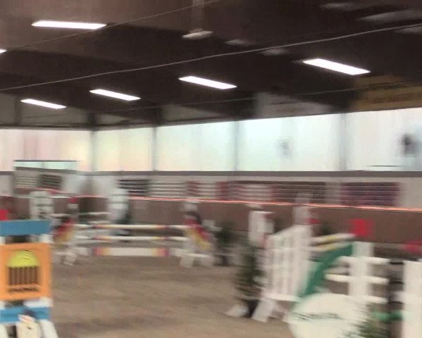 Reitturnier Südlohn-Oeding 2017