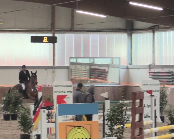 Reitturnier Südlohn-Oeding 2017