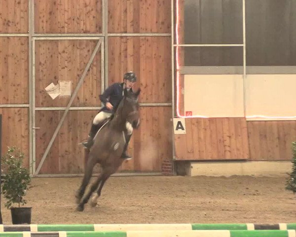 Reitturnier Südlohn-Oeding 2017