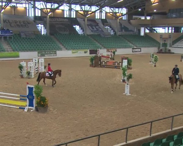 Reitturnier Kreuth 2017