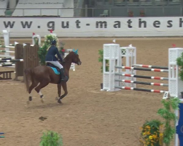Reitturnier Kreuth 2017