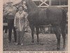 stallion Silver Prince (Quarter Horse, 1944, from Silver King)