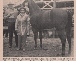 stallion Silver Prince (Quarter Horse, 1944, from Silver King)