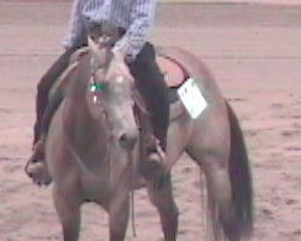 Zuchtstute Best Stop (Quarter Horse, 1999, von Custom Crome)