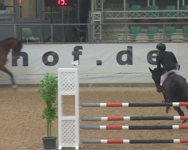 Reitturnier Kreuth 2017