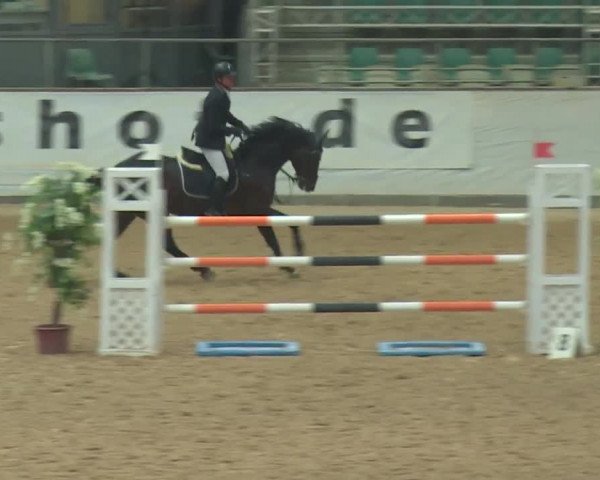 Reitturnier Kreuth 2017