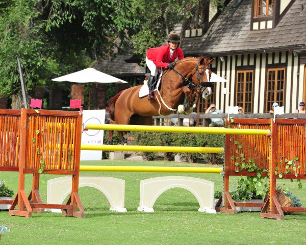 jumper Quintana S (Hanoverian, 2007, from Quidam's Rubin)