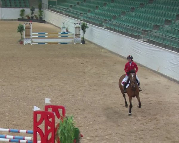 Reitturnier Kreuth 2017