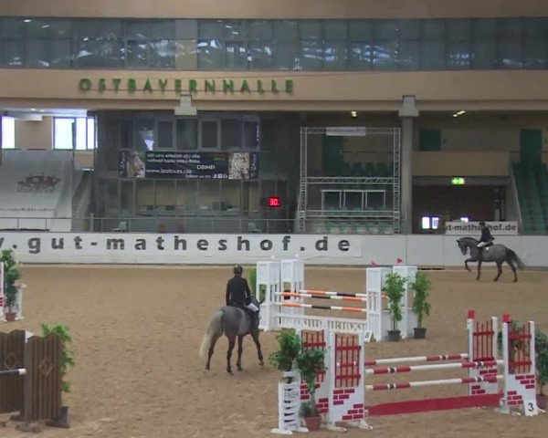 Reitturnier Kreuth 2017