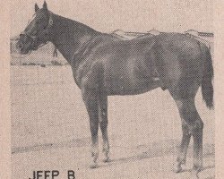 Deckhengst Jeep B (Quarter Horse, 1942, von Clabber)