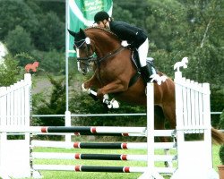 dressage horse Rightside Roxy (Hannoveraner, 2006, from Rascalino)