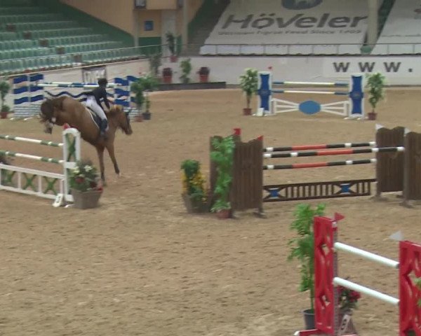 Reitturnier Kreuth 2017