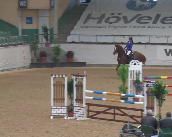 Reitturnier Kreuth 2017