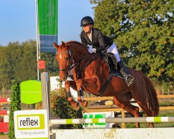 dressage horse Lucy Lou 26 (Hanoverian, 2008, from Londonderry)