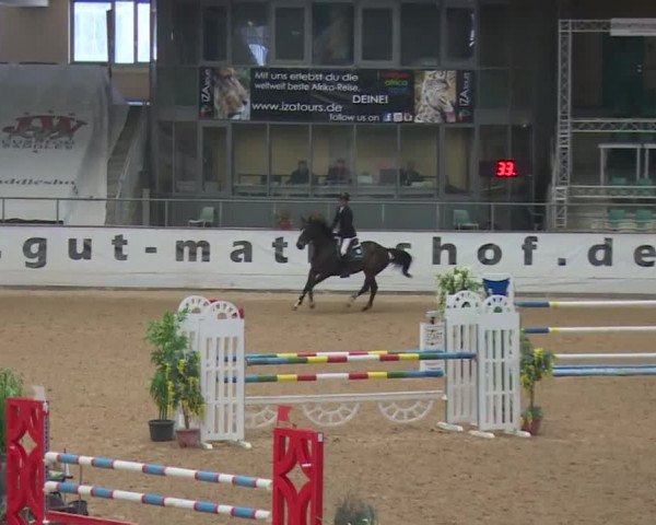 Reitturnier Kreuth 2017