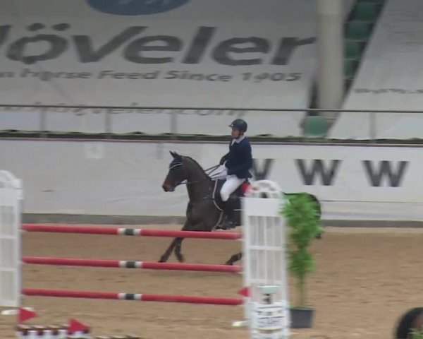 Reitturnier Kreuth 2017
