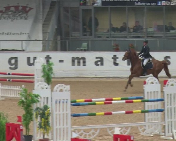 Reitturnier Kreuth 2017