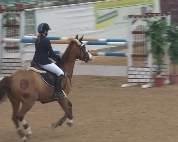 Reitturnier Kreuth 2017