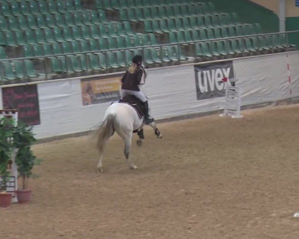 Reitturnier Kreuth 2017