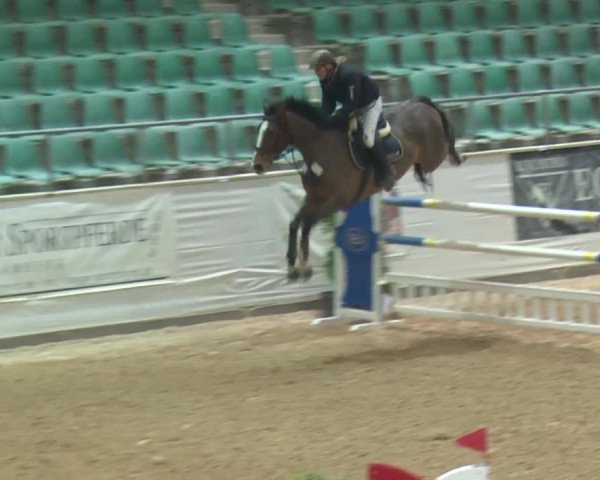 Reitturnier Kreuth 2017