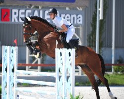 broodmare Lexus (Hungarian Warmblood, 2008, from Aranykapu Stevignon)