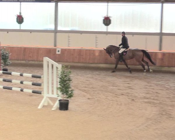 Reitturnier Südlohn-Oeding 2017