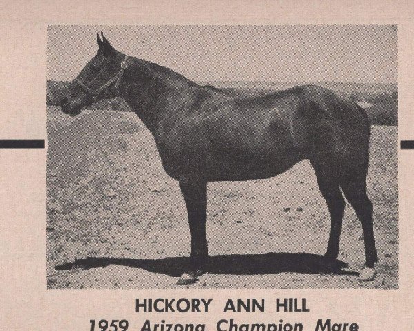broodmare Hickory an Hill (Quarter Horse, 1951, from Hickory Red)