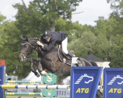 broodmare Carlotta (Hanoverian, 2003, from Contendro I)