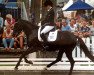 broodmare Pauline 385 (German Riding Pony, 2008, from FS Pour l'Amour)