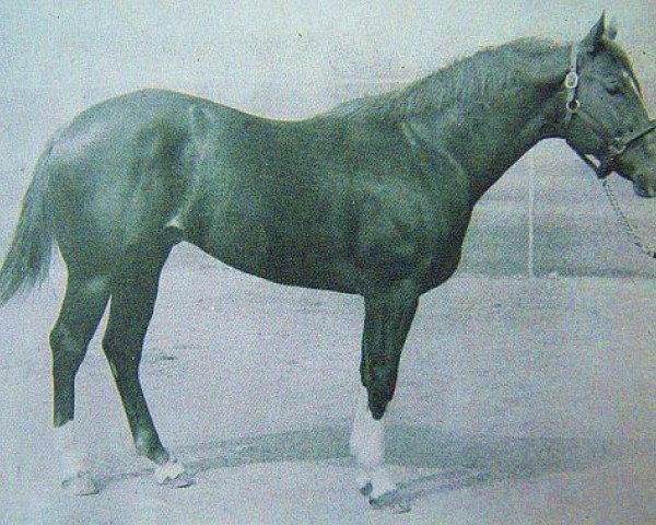 stallion Birthday Bar (Quarter Horse, 1959, from Three Bars xx)