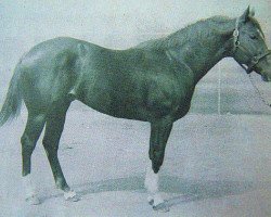 Deckhengst Birthday Bar (Quarter Horse, 1959, von Three Bars xx)