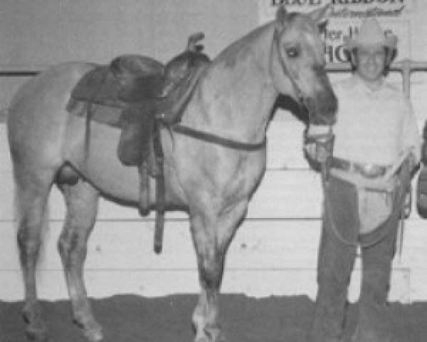 Deckhengst Holly 7 John (Quarter Horse, 1959, von Easter King)