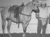 Deckhengst Holly 7 John (Quarter Horse, 1959, von Easter King)